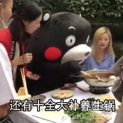对冲型养生是什么意思