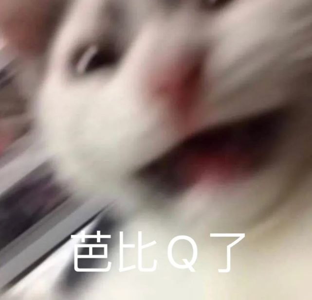 憨喵芭比Q了表情包大全