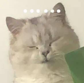 憨喵芭比Q了表情包大全