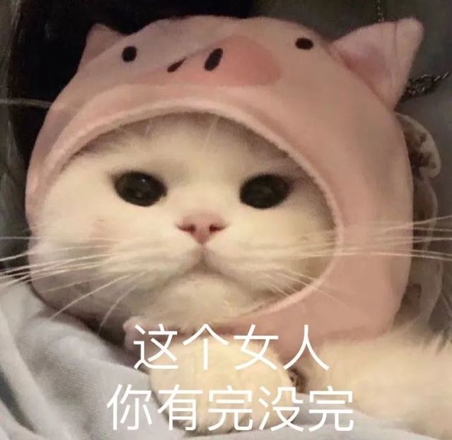 憨喵芭比Q了表情包大全