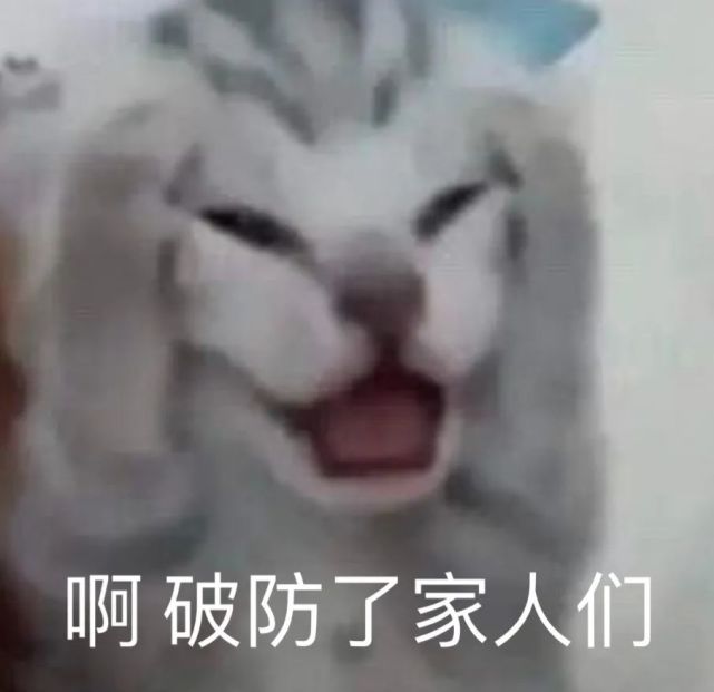 憨喵芭比Q了表情包大全
