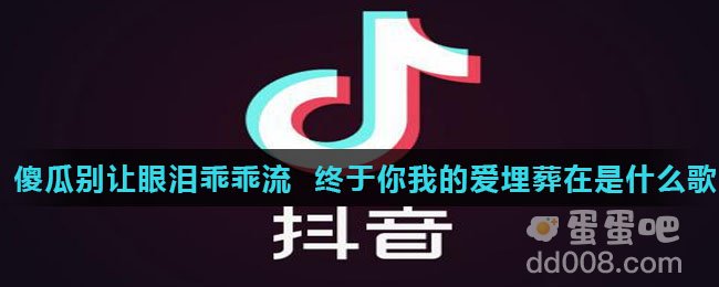 傻瓜别让眼泪乖乖流终于你我的爱埋葬在是什么歌