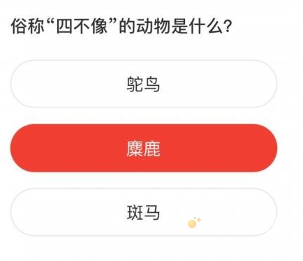 《微博》森林驿站2021年12月10日每日一题答案