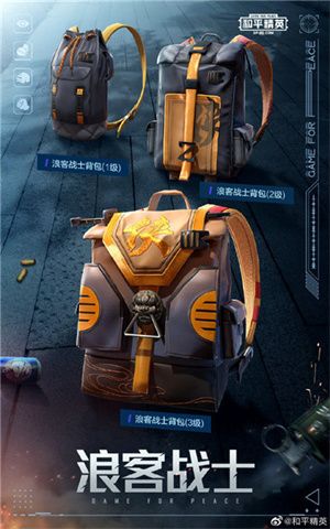 《和平精英》星河浪客皮肤价格介绍
