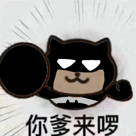 你爹来啰表情包大全