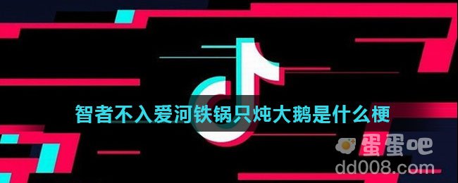 智者不入爱河铁锅只炖大鹅是什么梗