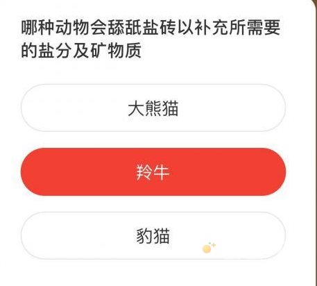 《微博》森林驿站2021年12月17日每日一题答案