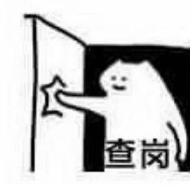 什么猫张duangduang查岗表情包大全
