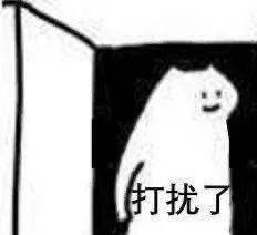 什么猫张duangduang查岗表情包大全