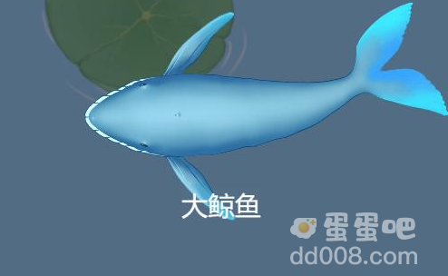 《召唤神龙》玩法攻略