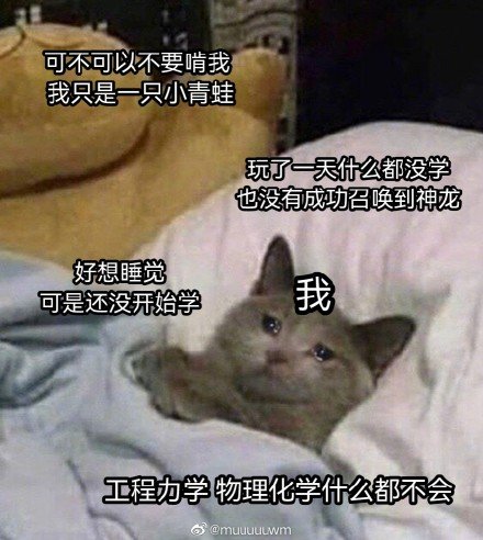 召唤神龙表情包大全