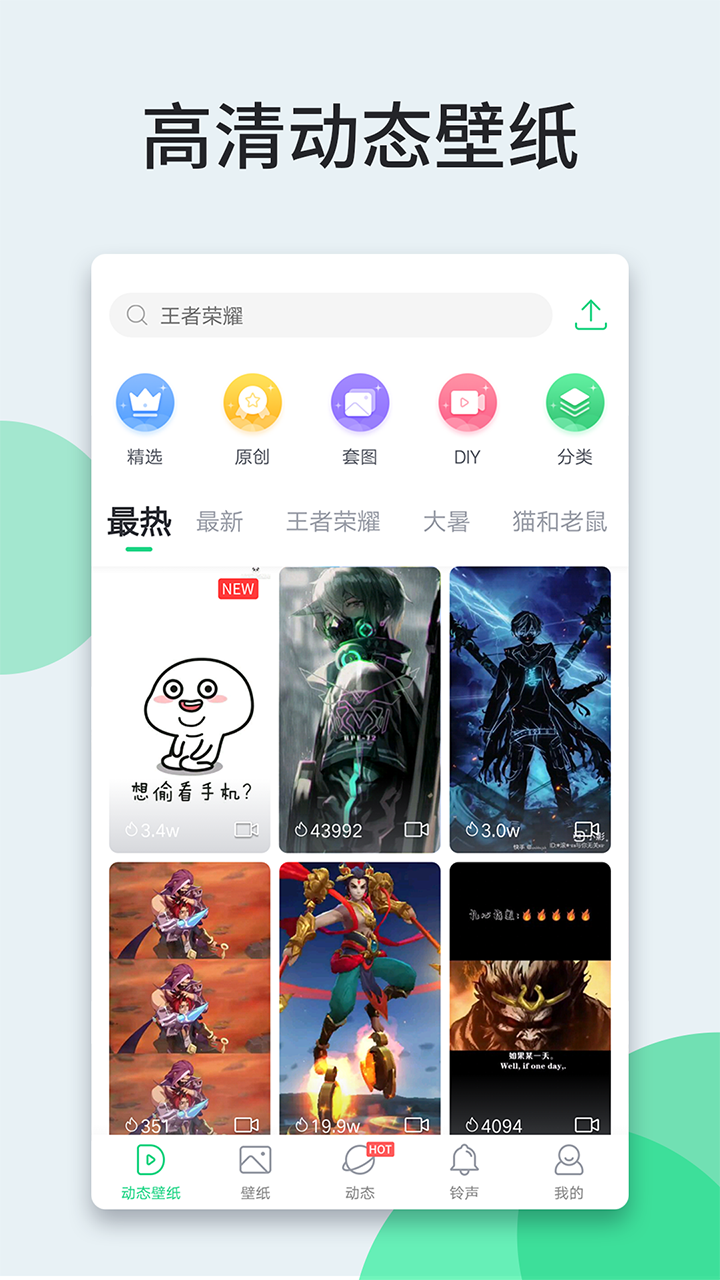 番红花之春壁纸