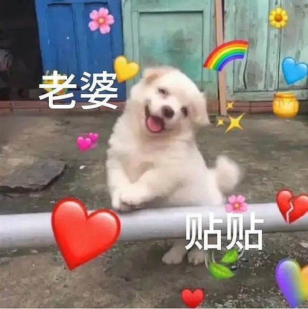 贴贴表情包大全