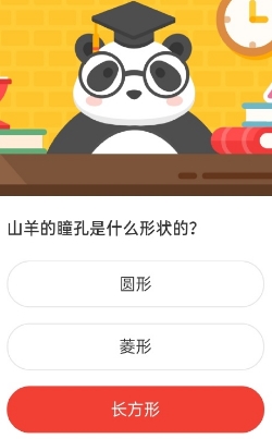 《微博》森林驿站2022年1月25日每日一题答案