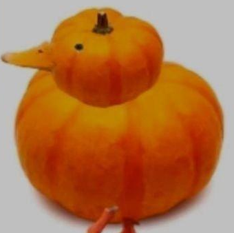 西嘎表情包大全
