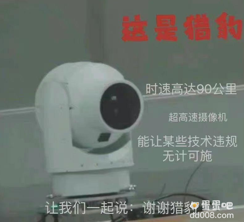谢谢猎豹是什么梗