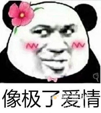 ddlg是什么梗