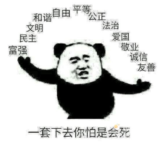 书杯是什么梗