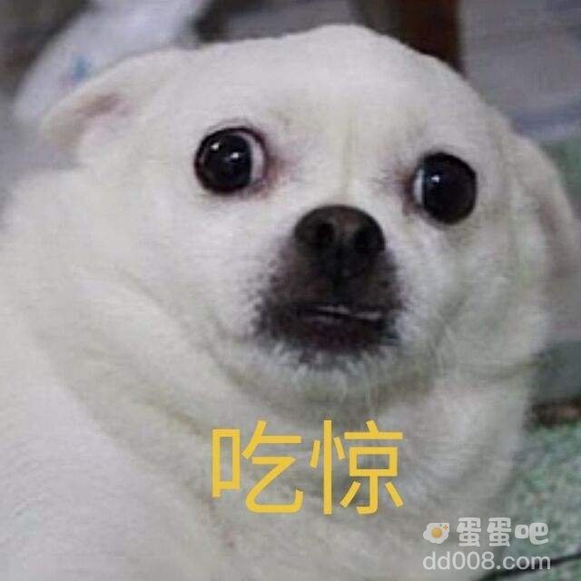 老嫂子是什么梗