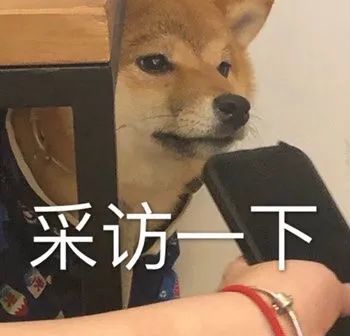 两狗对视表情包大全