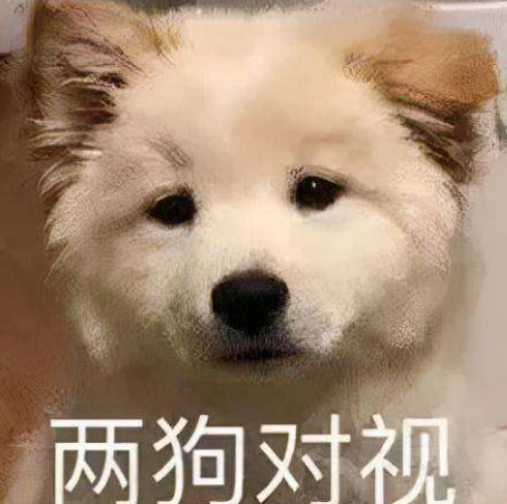 两狗对视表情包大全