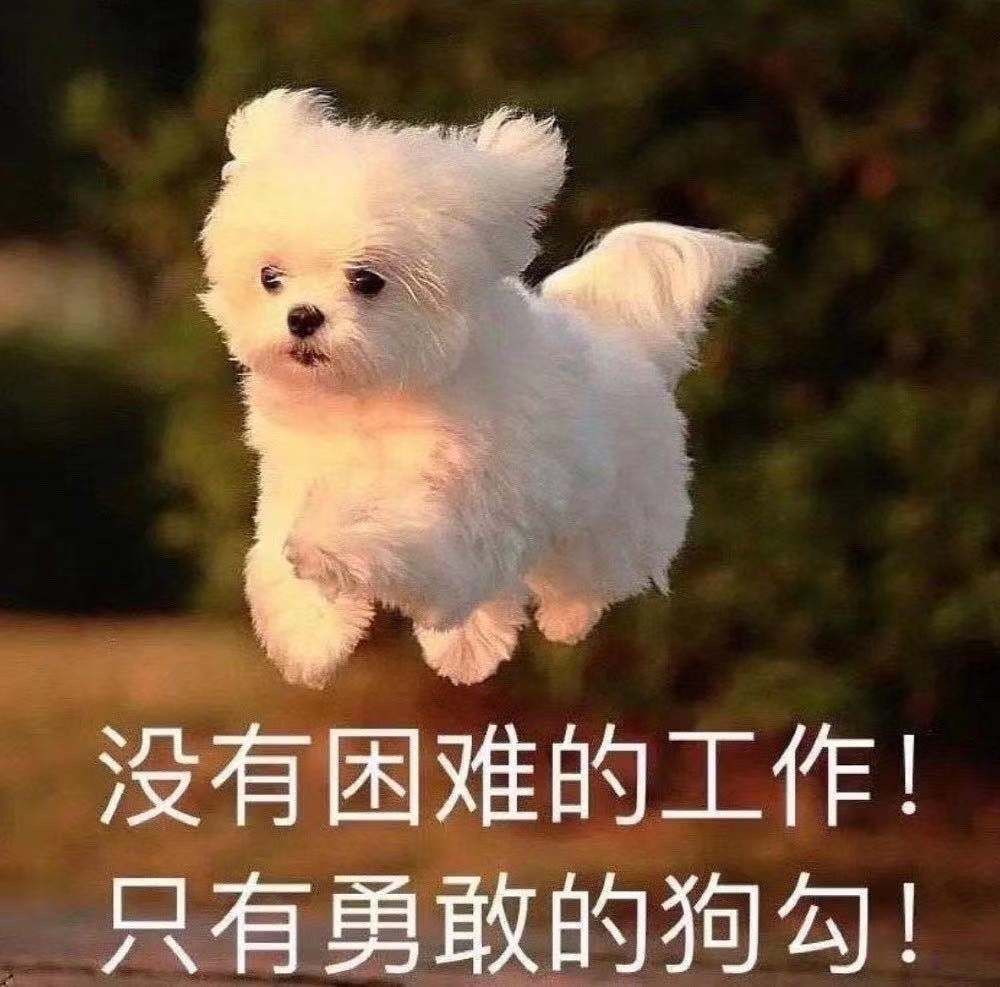 两狗对视表情包大全