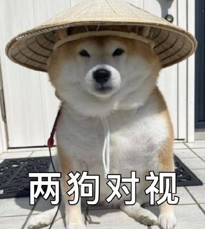 两狗对视表情包大全