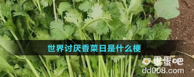 世界讨厌香菜日是什么梗