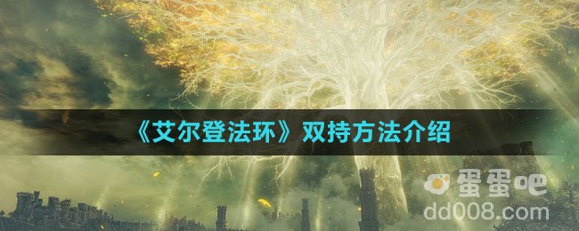 《艾尔登法环》双持方法介绍