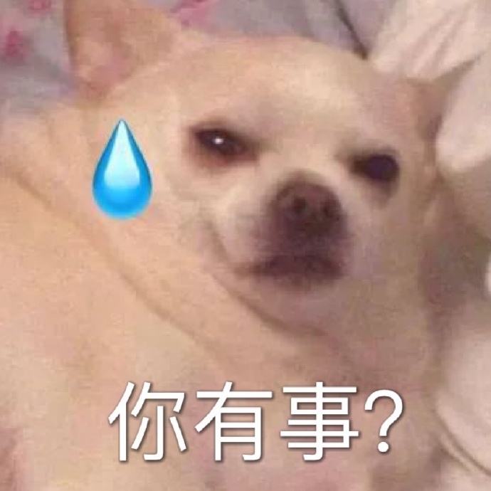 你没事吧表情包大全