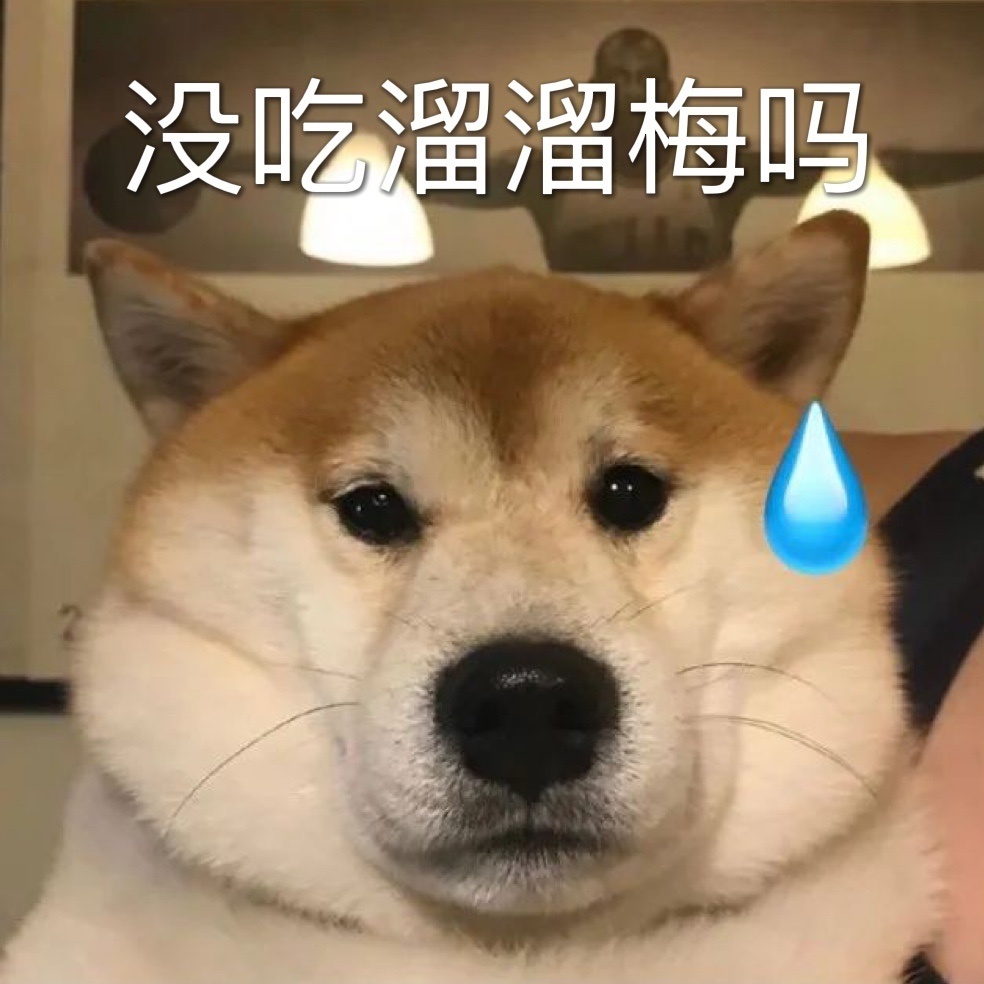 你没事吧表情包大全