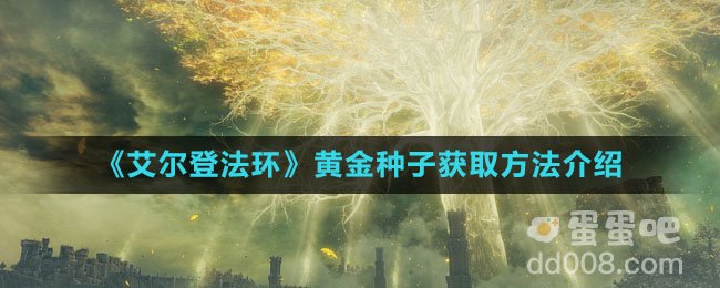 《艾尔登法环》黄金种子获取方法介绍