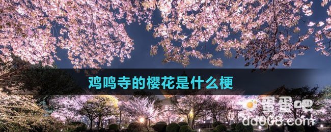 鸡鸣寺的樱花是什么梗