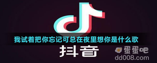 我试着把你忘记可总在夜里想你是什么歌
