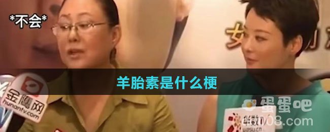 羊胎素是什么梗