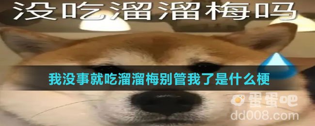 我没事就吃溜溜梅别管我了是什么梗