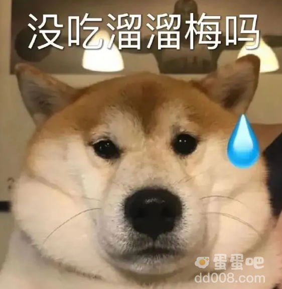 我没事就吃溜溜梅别管我了是什么梗
