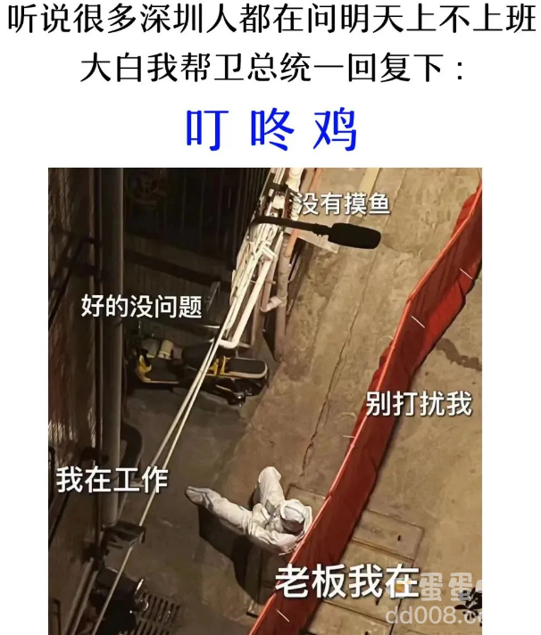 叮咚鸡是什么梗