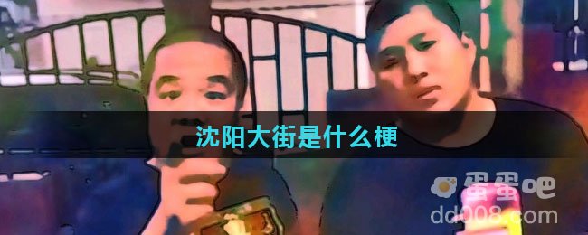 沈阳大街是什么梗