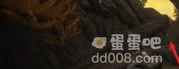 《艾尔登法环》日荫城进入方法介绍