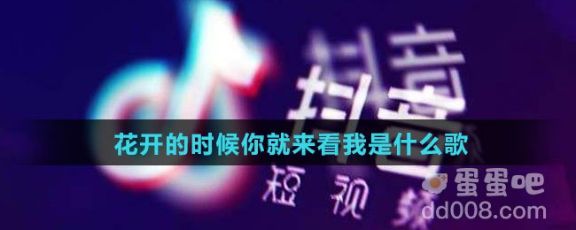 花开的时候你就来看我是什么歌