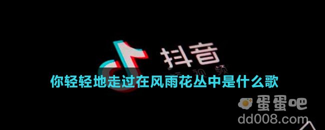 你轻轻地走过在风雨花丛中是什么歌