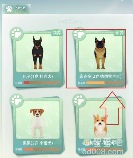 《当代人生》购买宠物方法介绍