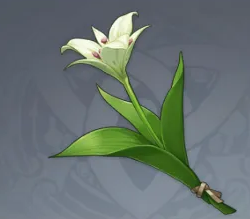 《原神》蒙德特产位置一览