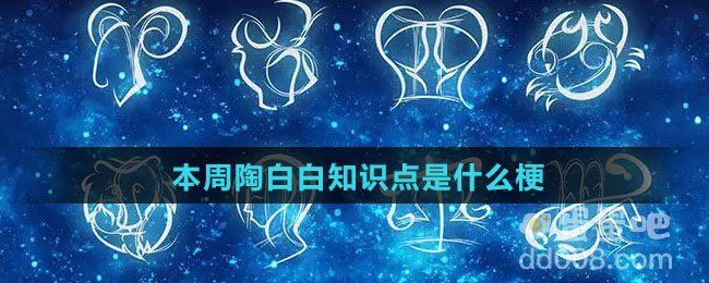 本周陶白白知识点是什么梗