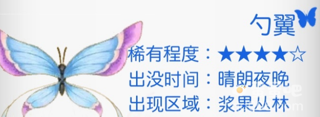 《摩尔庄园》勺翼捕捉攻略