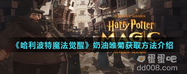 《哈利波特魔法觉醒》奶油雏菊获取方法介绍