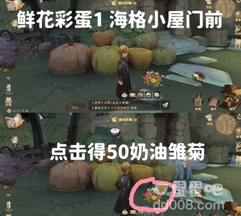 《哈利波特魔法觉醒》鲜花彩蛋触发攻略