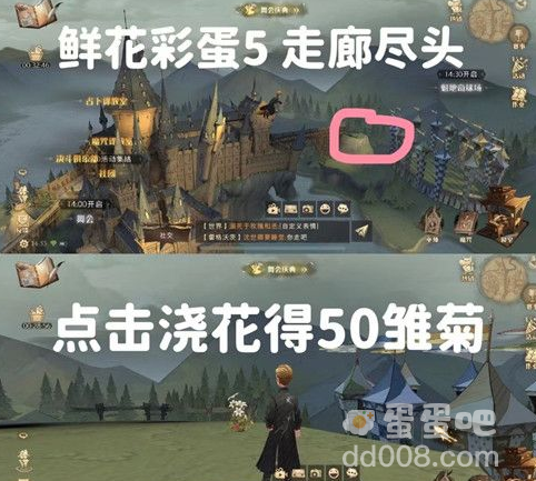 《哈利波特魔法觉醒》鲜花彩蛋触发攻略
