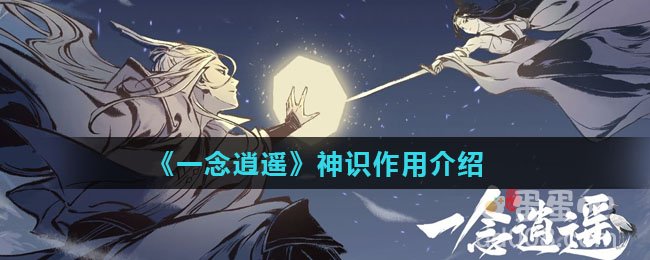 《一念逍遥》神识作用介绍
